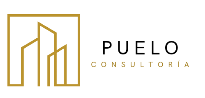 Puelo Consultoría